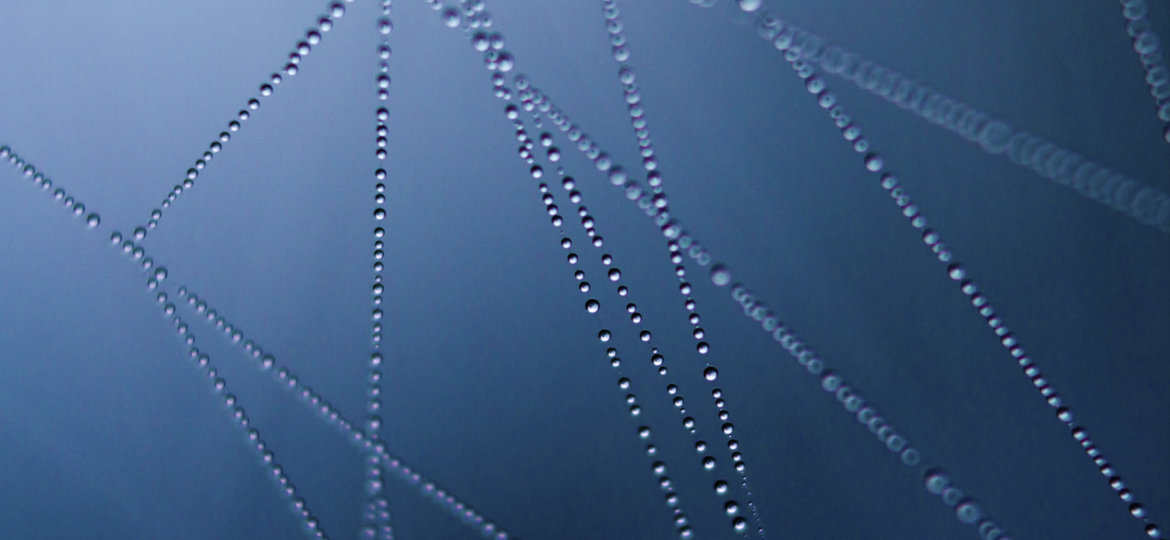 Raindrops on a Spider Web
